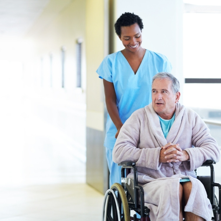 Transportation services in Wakefield, MA