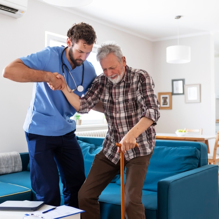 Transportation services in Wakefield, MA